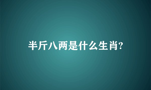 半斤八两是什么生肖?