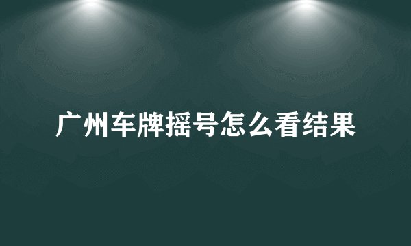 广州车牌摇号怎么看结果