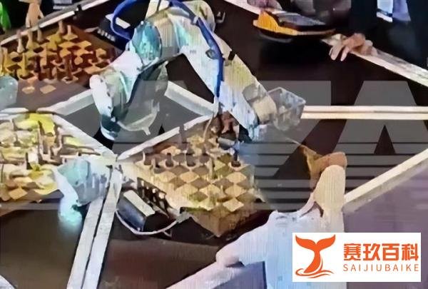 难以置信!韩国男子被机器人误当蔬菜,遭重度碾压不治身亡