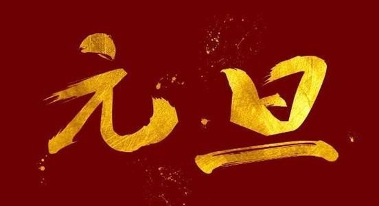 元旦的十个字优美句子