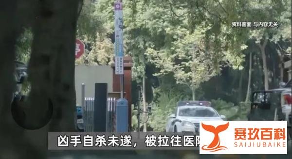 上海一饭堂收银员勾搭主厨疑给丈夫戴绿帽子引发的血案