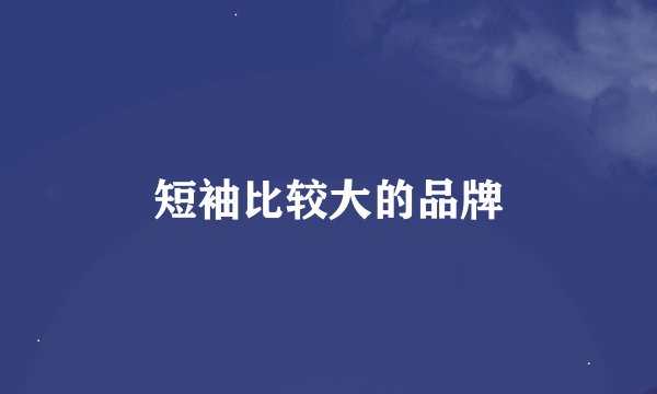 短袖比较大的品牌