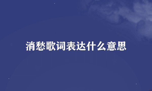 消愁歌词表达什么意思