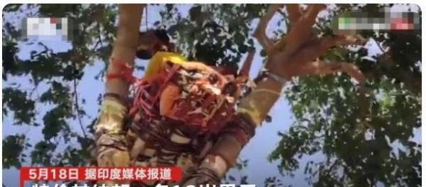 印度一男子在树上隔离11天 这是咋情况？
