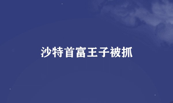 沙特首富王子被抓