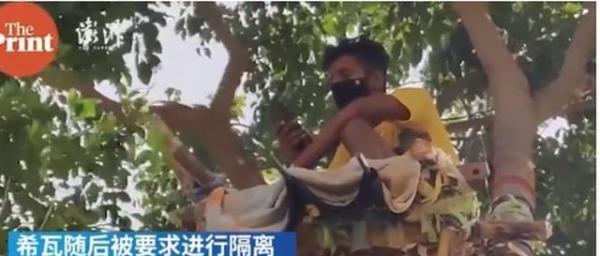 印度一男子在树上隔离11天 这是咋情况？