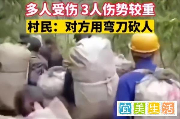 村民采笋和承包商起冲突，导致多人受伤，原因何在
