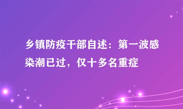 乡镇防疫干部自述：第一波感染潮已过，仅十多名重症