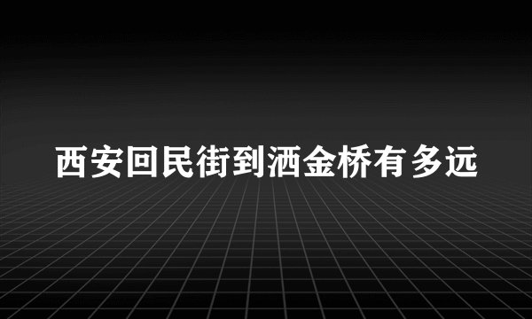 西安回民街到洒金桥有多远