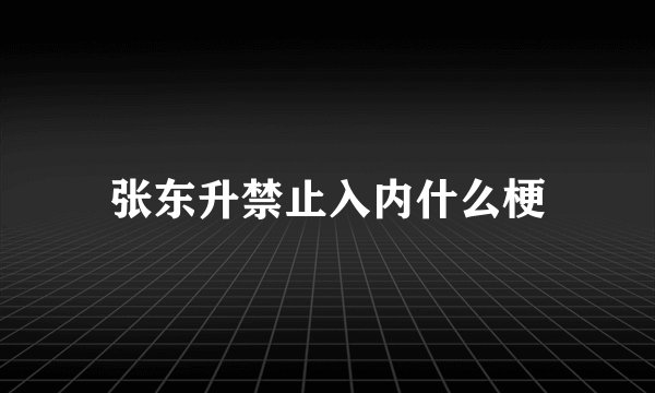 张东升禁止入内什么梗