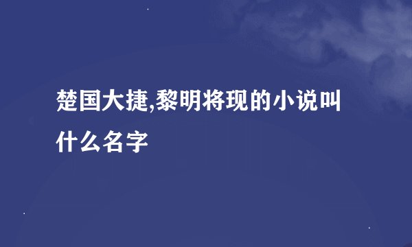 楚国大捷,黎明将现的小说叫什么名字