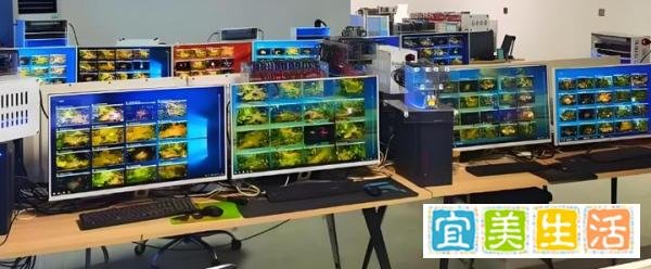 2025入局必看：游戏搬砖工作室加盟是坑还是金矿？看懂省下3万冤枉钱