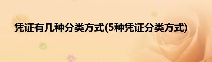 凭证有几种分类方式(5种凭证分类方式)