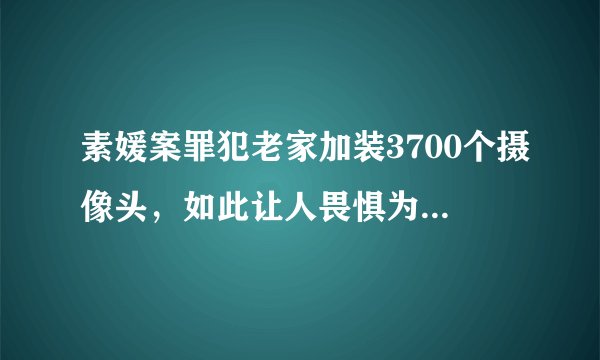 素媛案罪犯老家加装3700个摄像头,如此让人畏惧为何让他出狱?