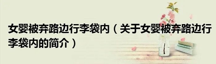 女婴被弃路边行李袋内（关于女婴被弃路边行李袋内的简介）