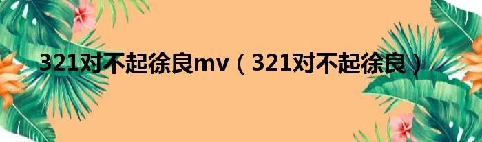 321对不起徐良mv（321对不起徐良）
