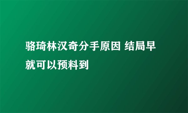 骆琦林汉奇分手原因 结局早就可以预料到