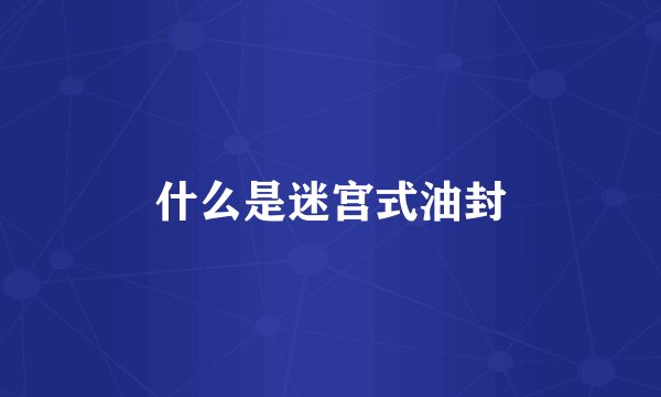 什么是迷宫式油封