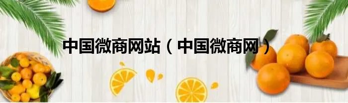 中国微商网站(中国微商网)