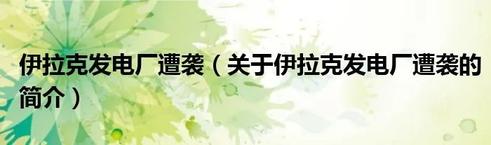 伊拉克发电厂遭袭（关于伊拉克发电厂遭袭的简介）