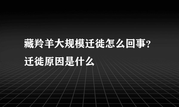 藏羚羊大规模迁徙怎么回事？迁徙原因是什么