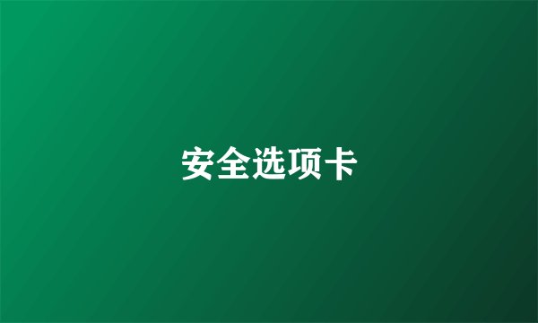安全选项卡