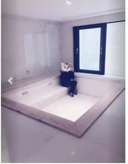 郭敬明豪华家装是什么样子?