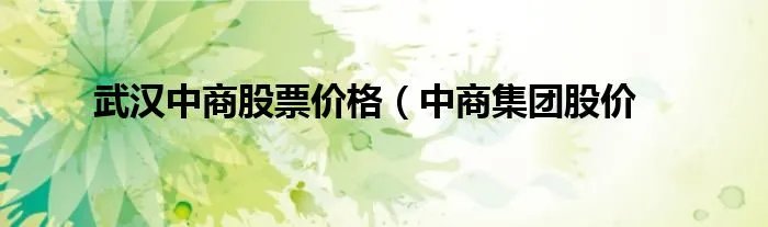 武汉中商股票价格（中商集团股价
