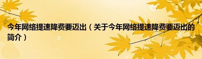 今年网络提速降费要迈出（关于今年网络提速降费要迈出的简介）