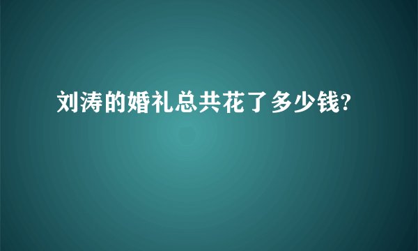 刘涛的婚礼总共花了多少钱?