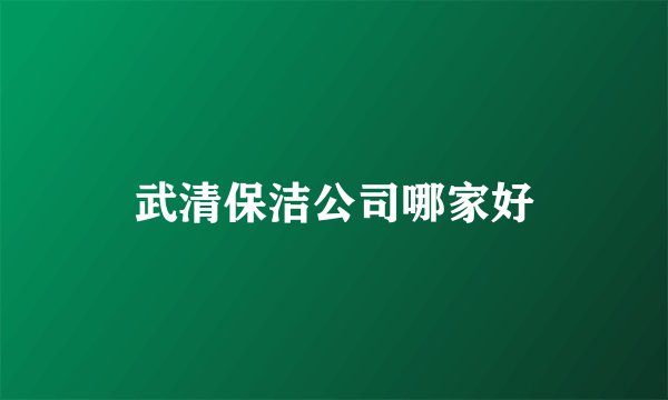 武清保洁公司哪家好