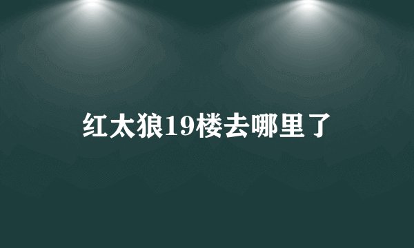 红太狼19楼去哪里了