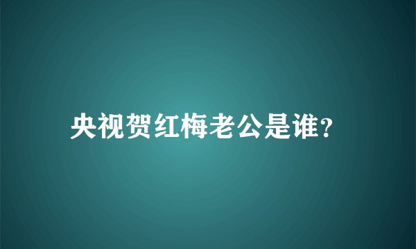 央视贺红梅老公是谁？