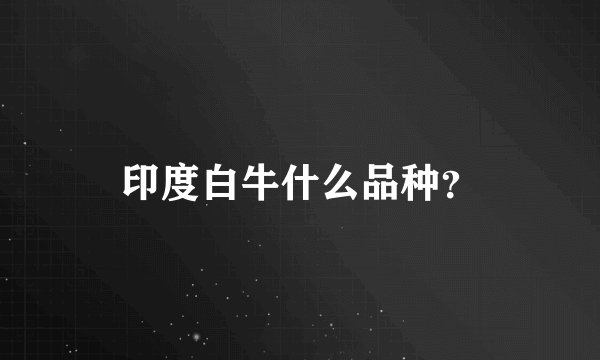 印度白牛什么品种?