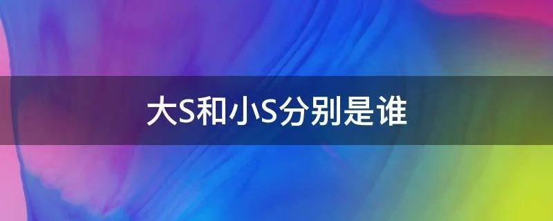 大S和小S分别是谁
