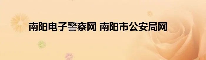南阳电子警察网 南阳市公安局网