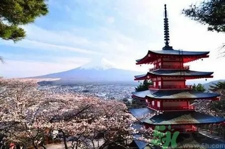 中国人赴日或免签是怎么回事?日本有什么好玩的地方?
