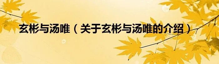 玄彬与汤唯（关于玄彬与汤唯的介绍）