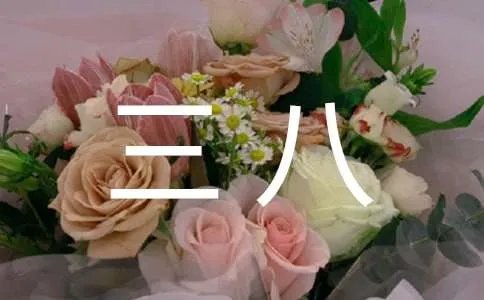三八活动方案