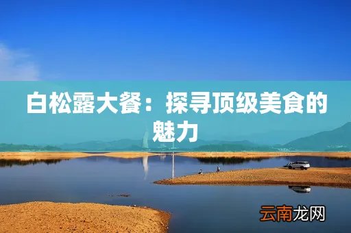 白松露大餐：探寻顶级美食的魅力
