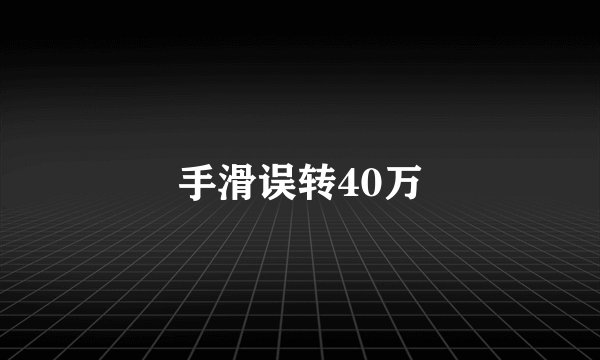 手滑误转40万