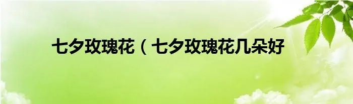 七夕玫瑰花（七夕玫瑰花几朵好