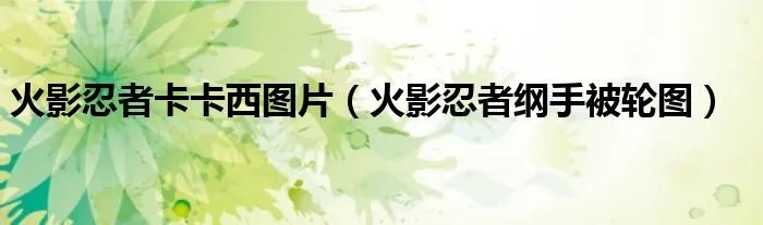 火影忍者卡卡西图片（火影忍者纲手被轮图）