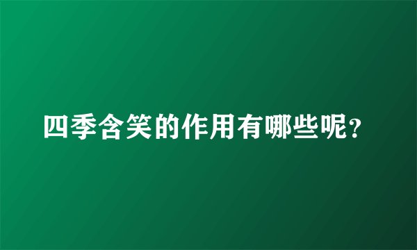 四季含笑的作用有哪些呢？