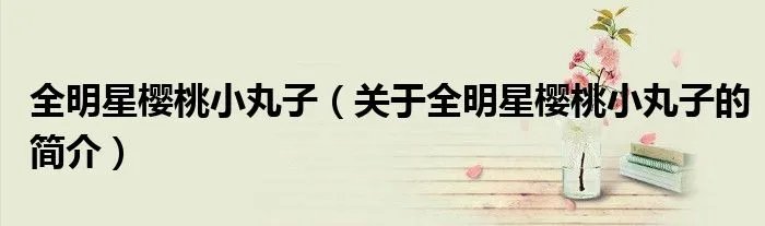 全明星樱桃小丸子（关于全明星樱桃小丸子的简介）
