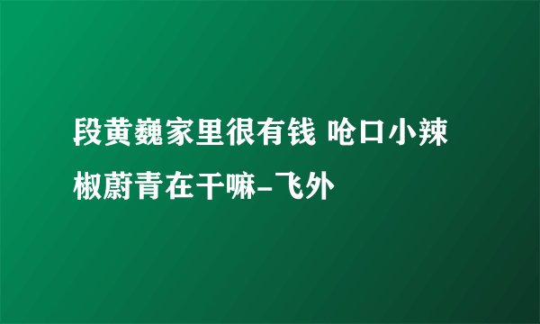 段黄巍家里很有钱 呛口小辣椒蔚青在干嘛-飞外
