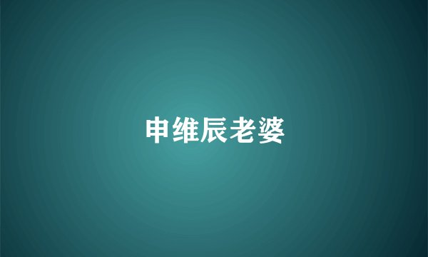 申维辰老婆