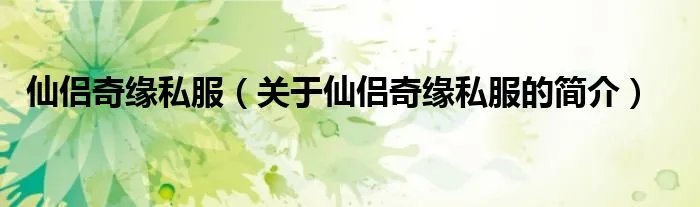 仙侣奇缘私服（关于仙侣奇缘私服的简介）