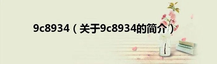 9c8934(关于9c8934的简介)
