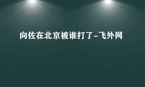 向佐在北京被谁打了-飞外网